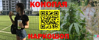 соль ск Новокубанск